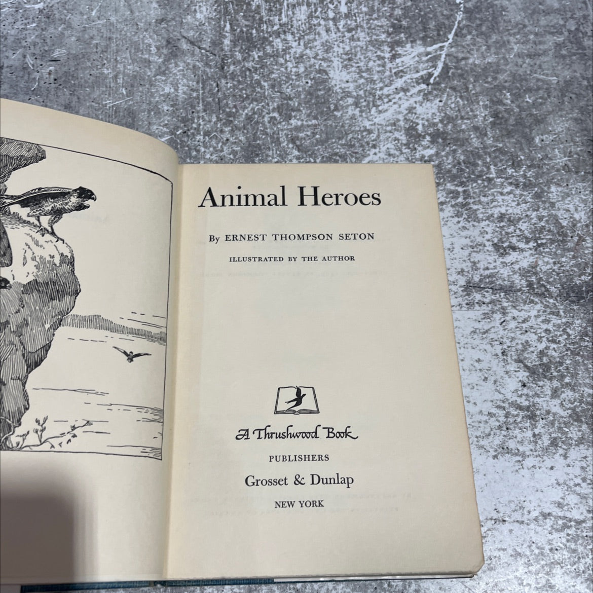 animal heroes book, by ernest thompson seton, 1905 Hardcover image 2