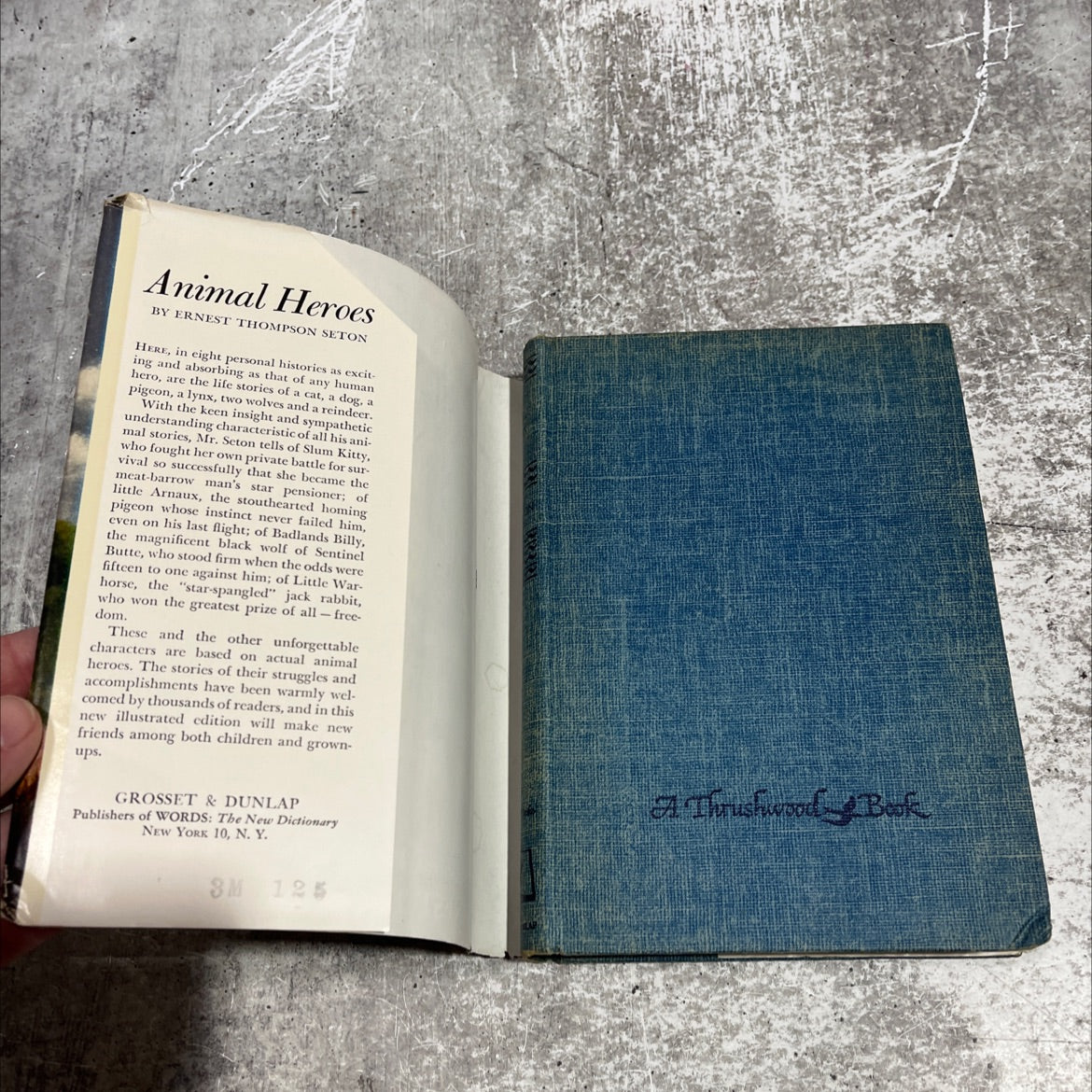animal heroes book, by ernest thompson seton, 1905 Hardcover image 4
