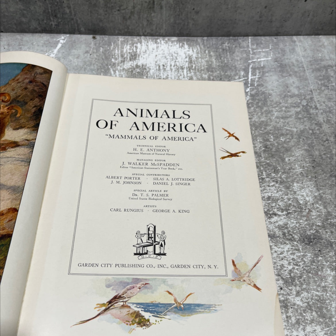animals of america mammals of america book, by H. E. Anthony, 1937 Hardcover image 2