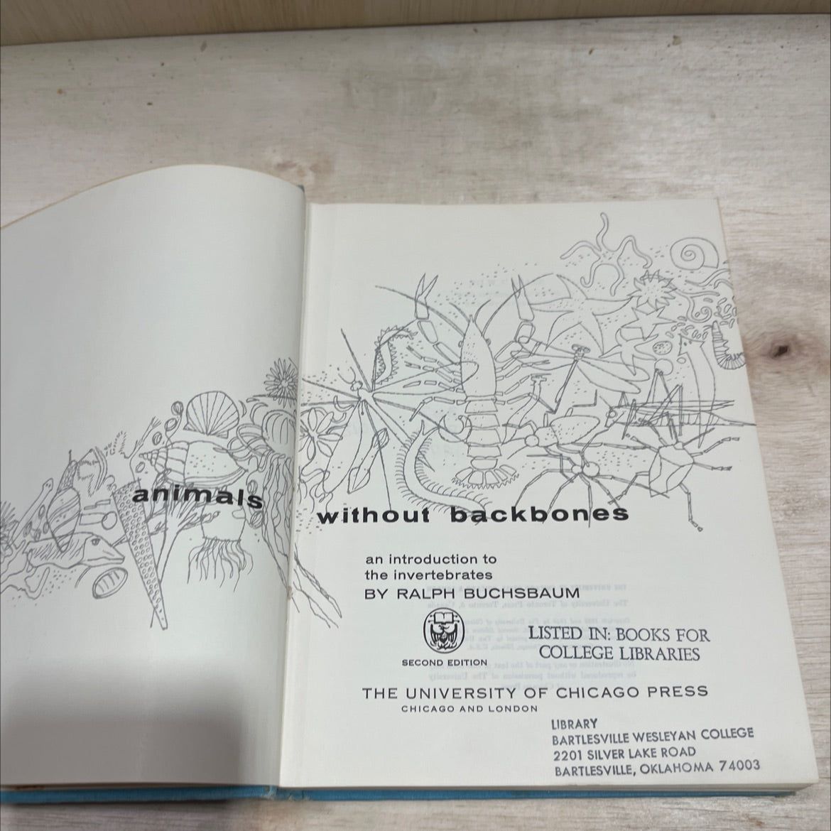 animals without backbones an introduction to the invertebrates book, by ralph buchsbaum, 1948 Hardcover image 2