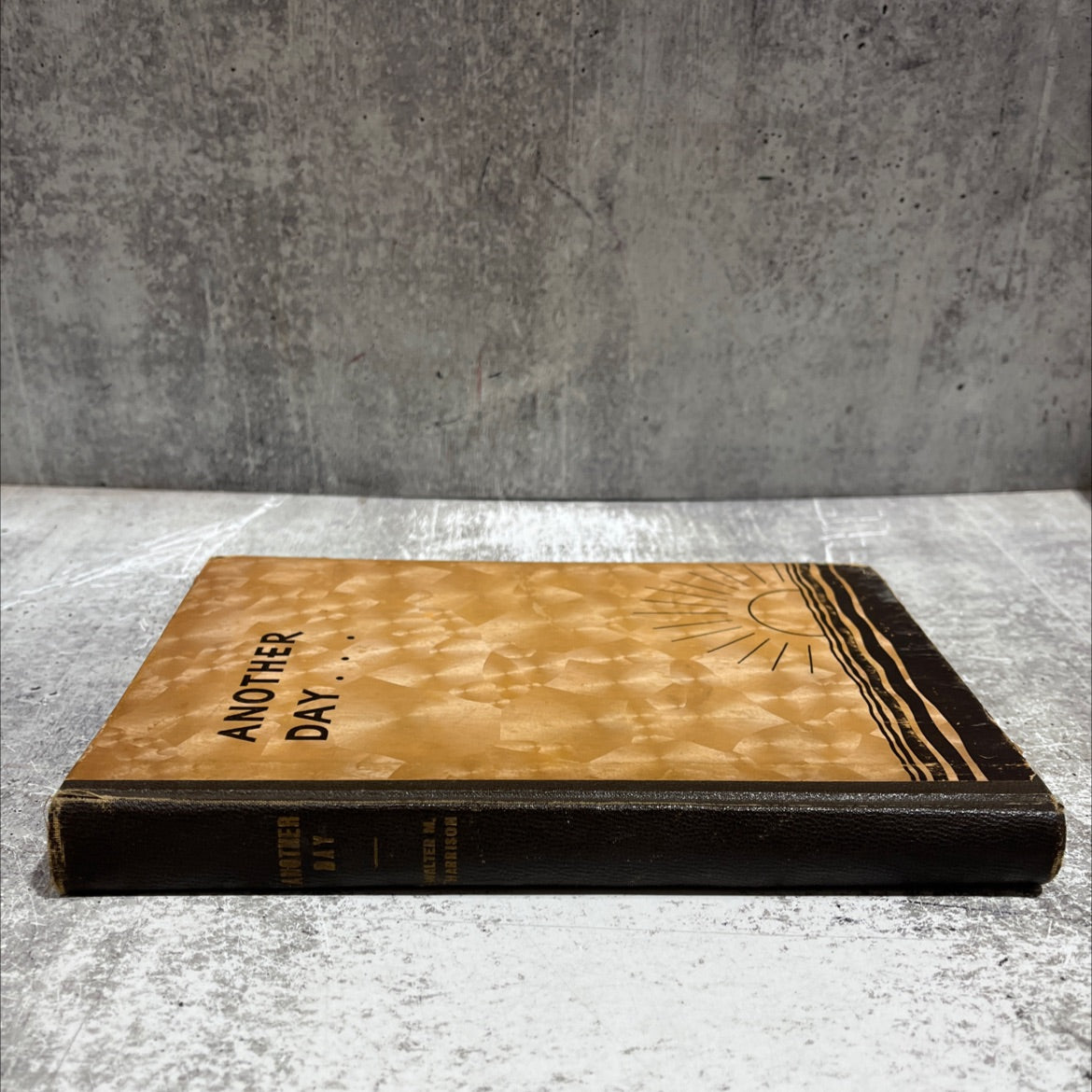 another day book, by walter m. harrison, 1936 Hardcover image 3