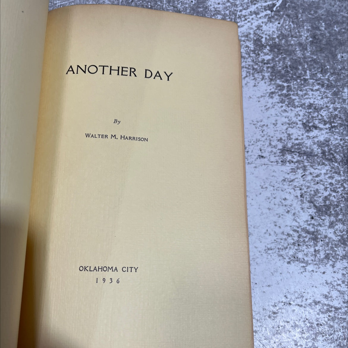 another day book, by walter m. harrison, 1936 Hardcover image 2
