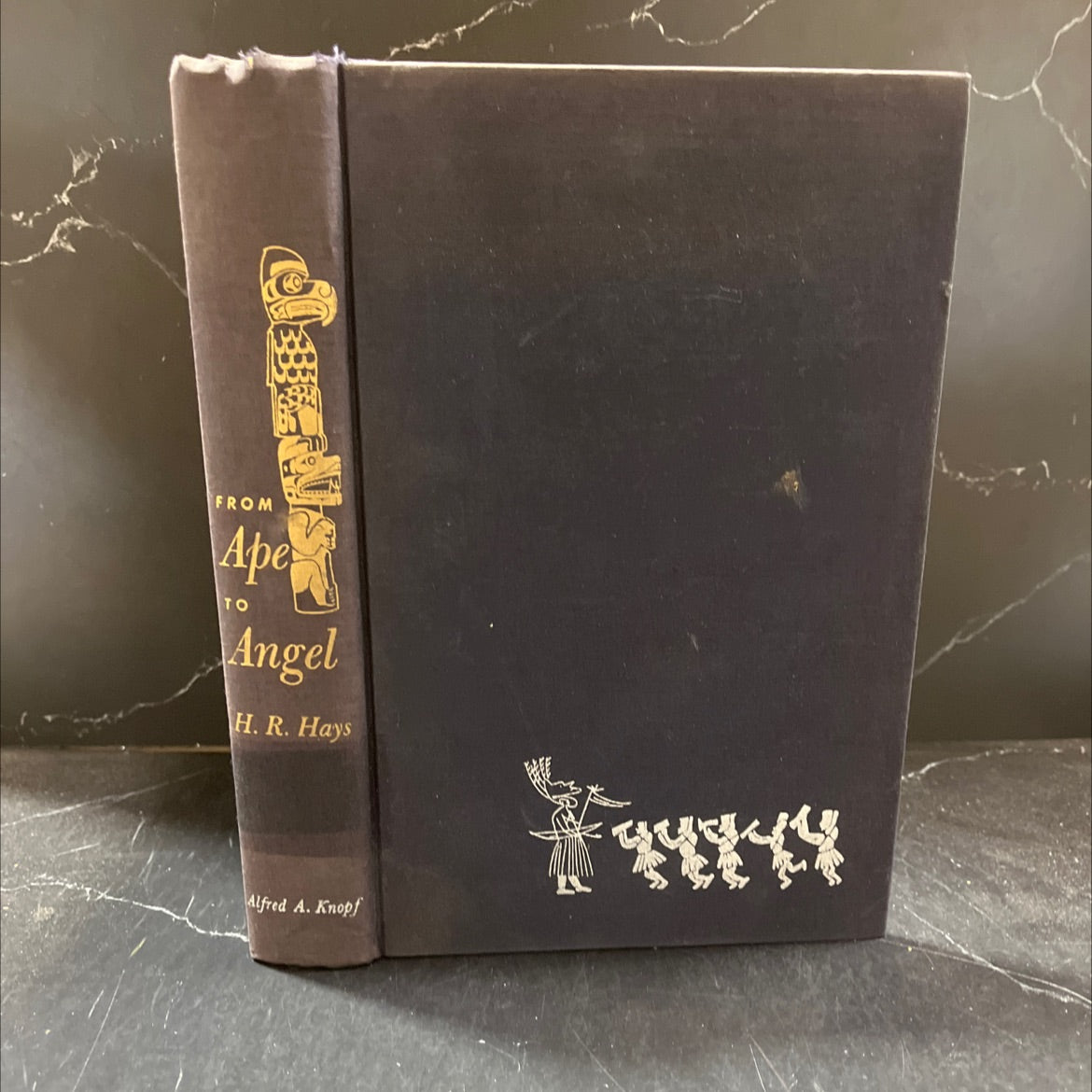 ape to angel book, by H. R. Hays, 1958 Hardcover image 1