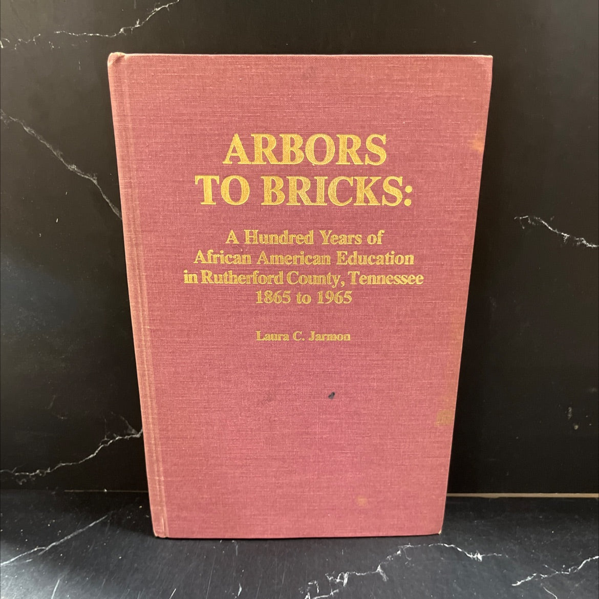 arbors to bricks: a hundred years of african american education in rutherford county, tennessee 1865 to 1965 book, by image 1