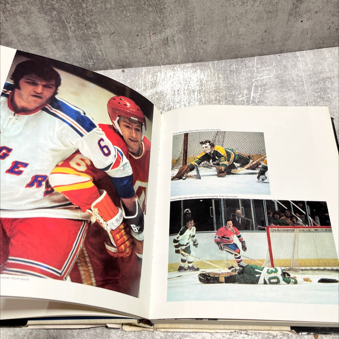 arena the hockey encyclopedia book, by Gary Ronberg, 1974 Hardcover image 4