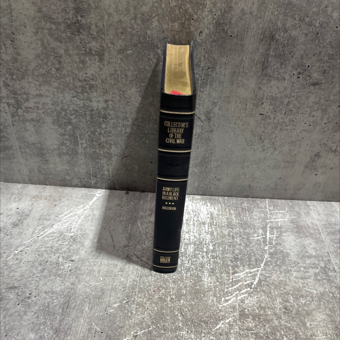 army life in r. ers. a black regiment. by pour girls. study. rds. of the flowers book, by thomas wentworth higginson, image 4