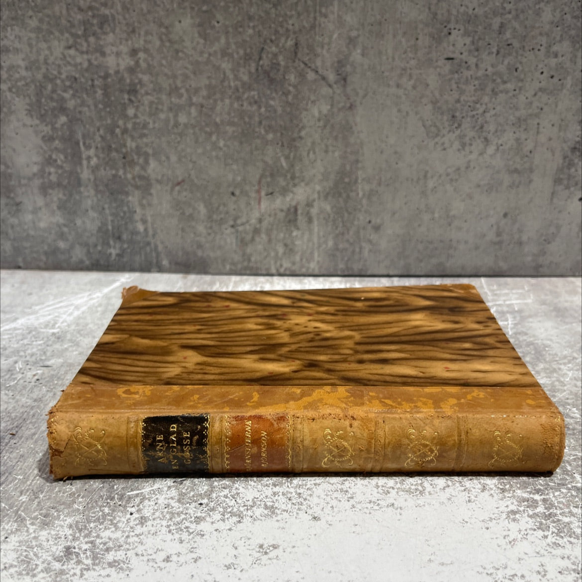 arne en glad gosse järnvägen och kyrkogården brudlåten av bjørnstjerne bjørnson bemyndigade översättningar från norskan image 4