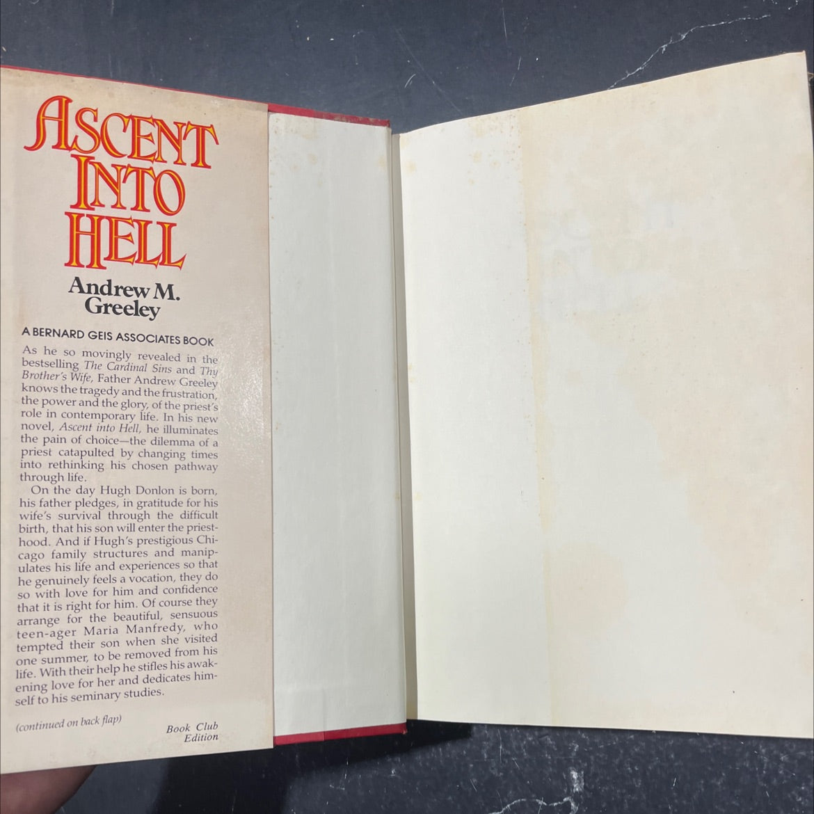 ascent into hell book, by Andrew M. Greeley, 1983 Hardcover image 4