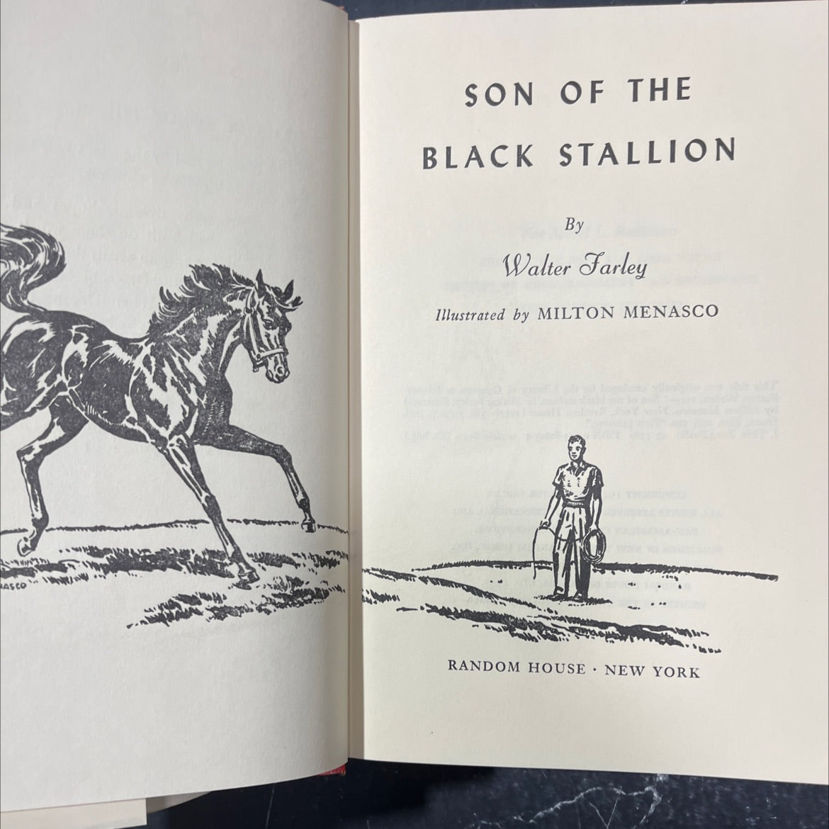 ascon son of the black stallion book, by walter farley, 1947 Hardcover image 2
