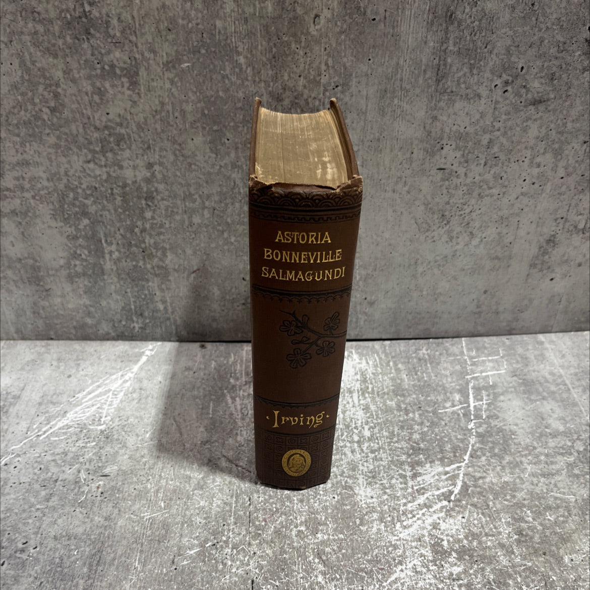 astoria or anecdotes of an enterprise beyond the rocky mountains book, by washington irving, 1883 Hardcover image 3