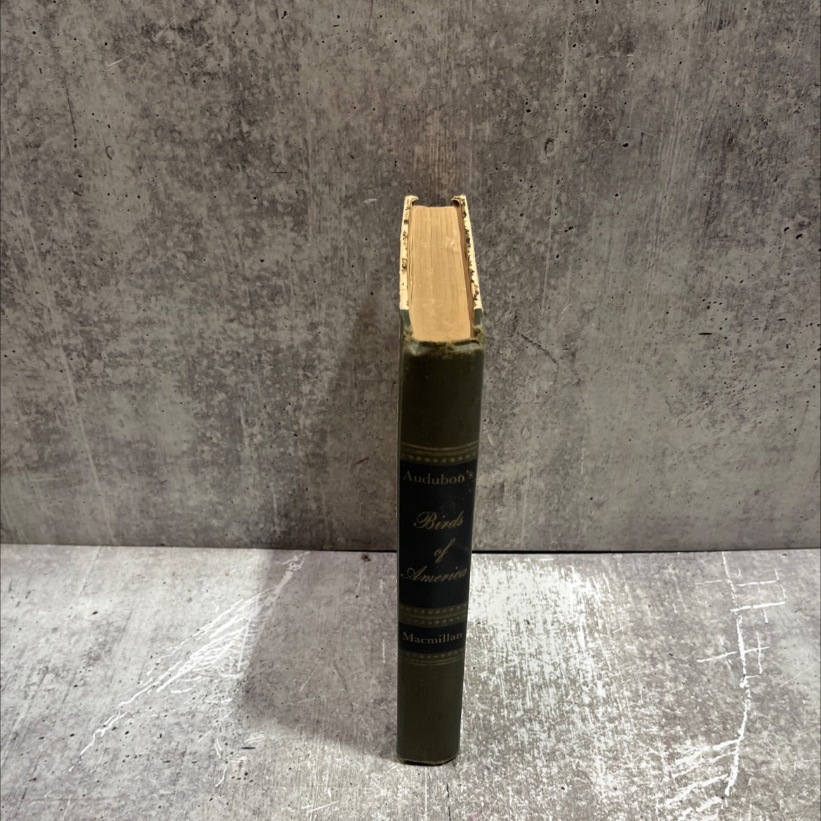 audubon's birds of america book, by ludlow griscom, 1950 Hardcover image 4