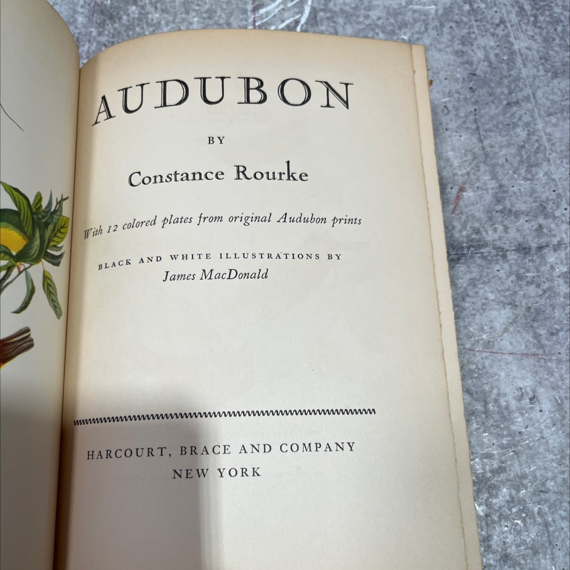 audubon book, by Constance Rourke, 1936 Hardcover image 2