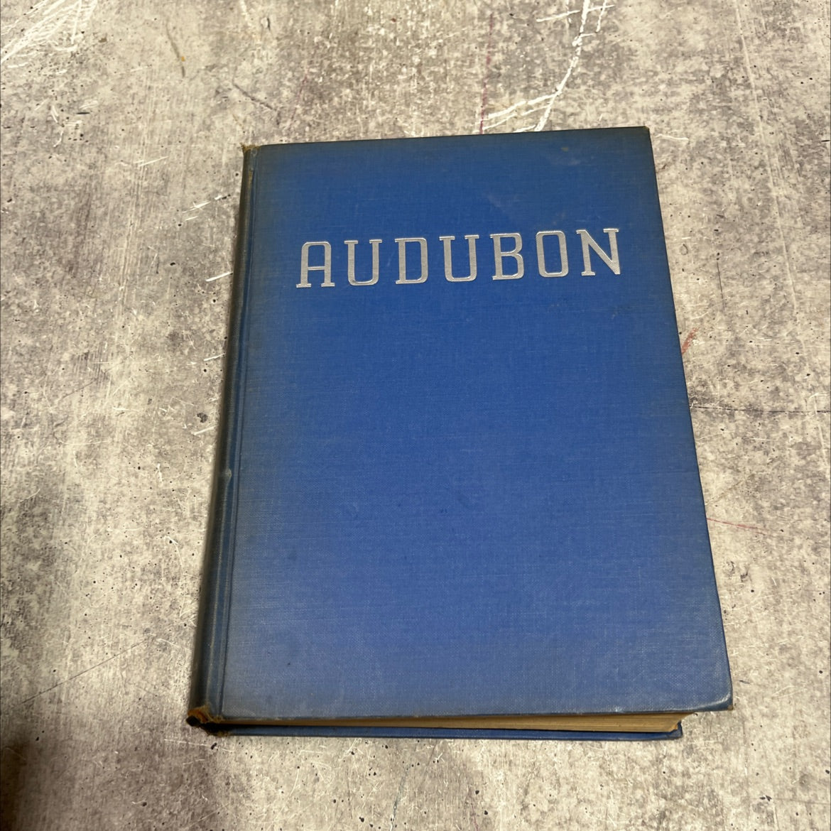 audubon book, by Constance Rourke, 1936 Hardcover image 1