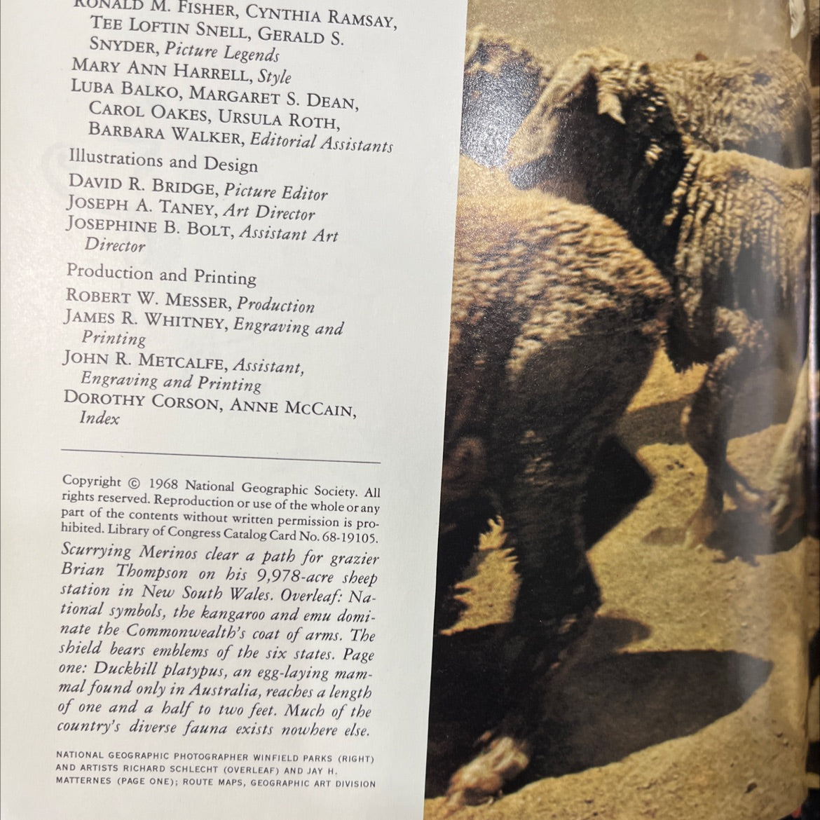 australia book, by bruce brander, mary ann harrell, hector holthouse, 1968 Hardcover image 3
