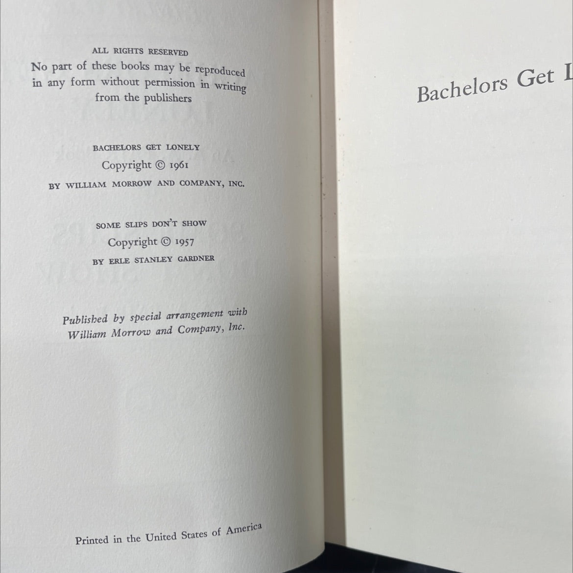 bachelors get lonely book, by erle stanley gardner, 1961 Hardcover image 3