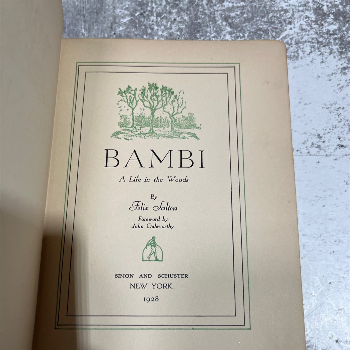 bambi a life in the woods book, by felix salten, 1928 Hardcover image 2