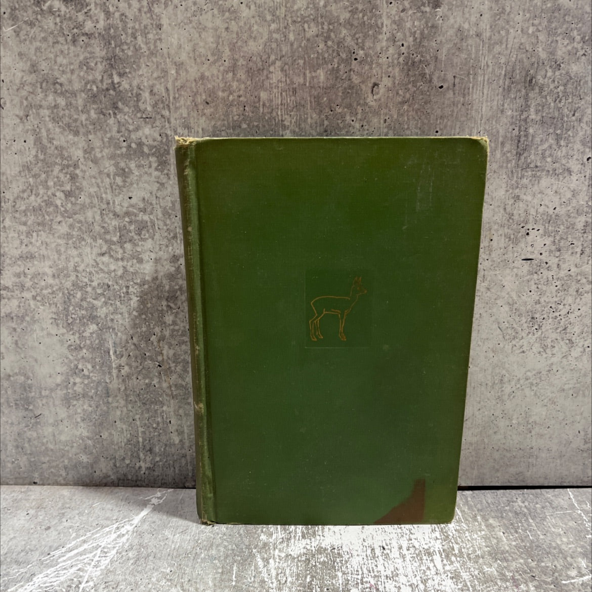 bambi a life in the woods book, by felix salten, 1928 Hardcover image 1