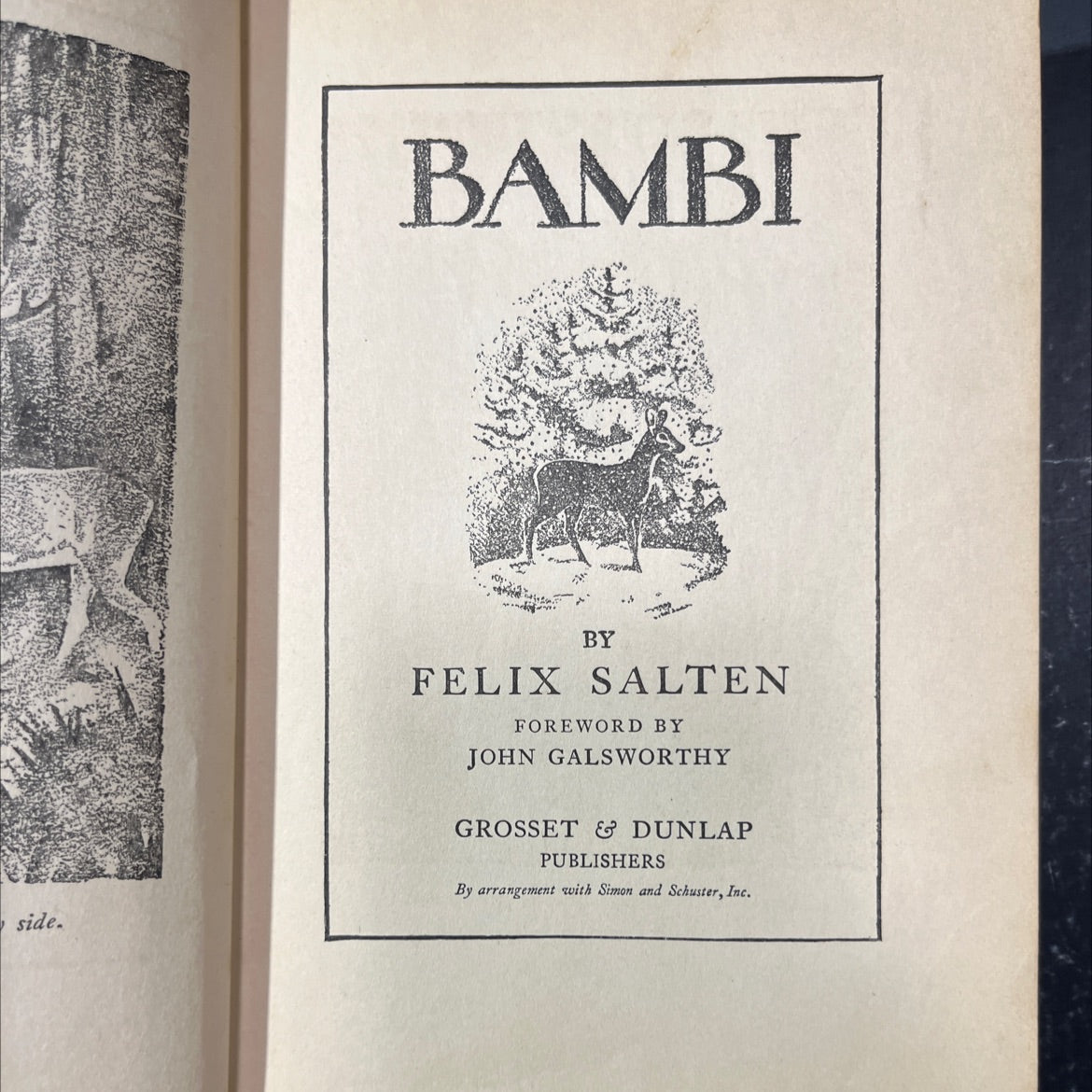 bambi book, by felix salten, 1929 Hardcover image 2