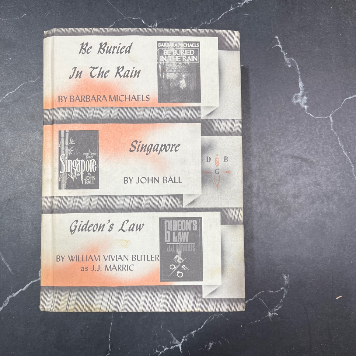 be buried in the rain book, by barbara michaels, 1985 Hardcover image 1
