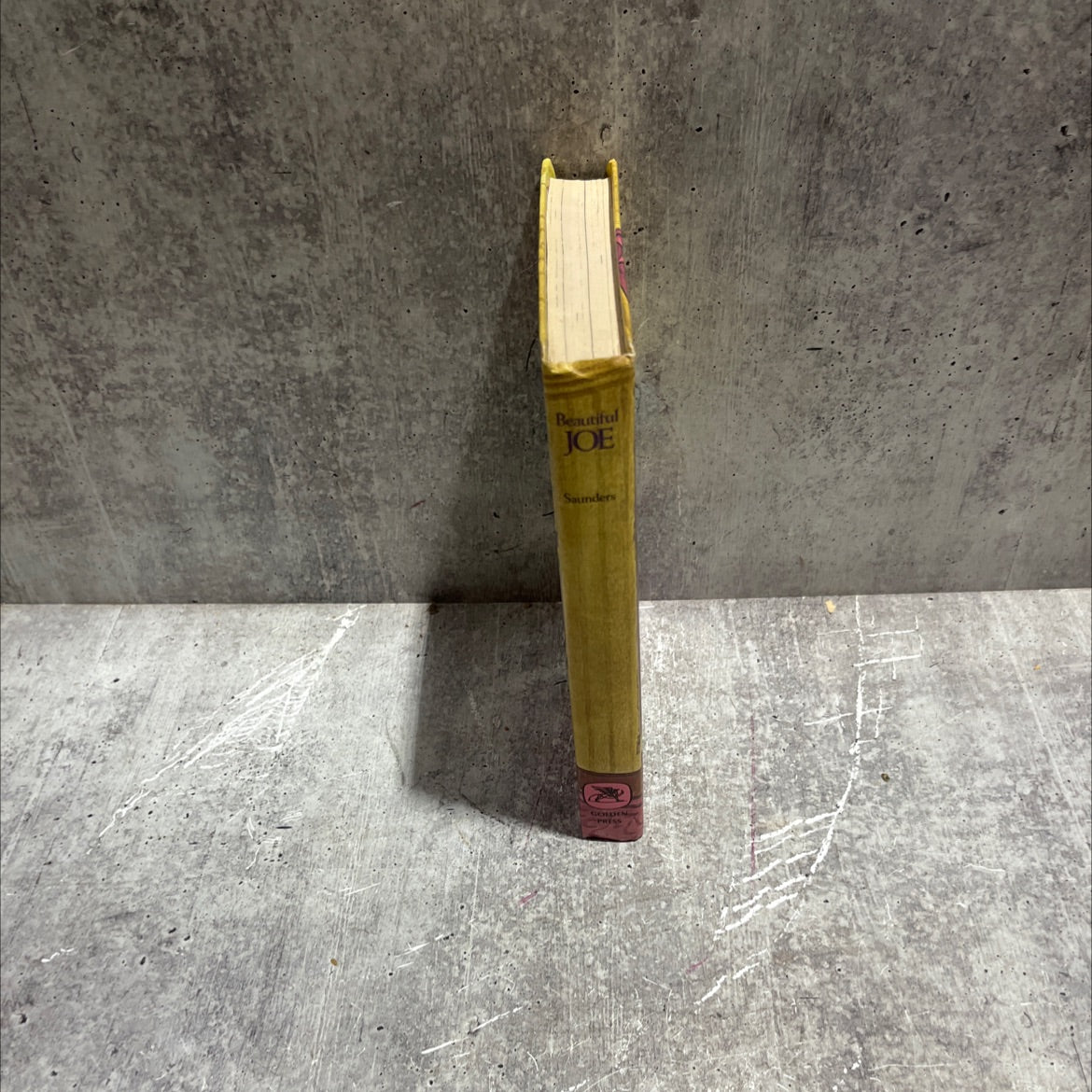 beautiful joe book, by marshall saunders, 1965 Hardcover image 4