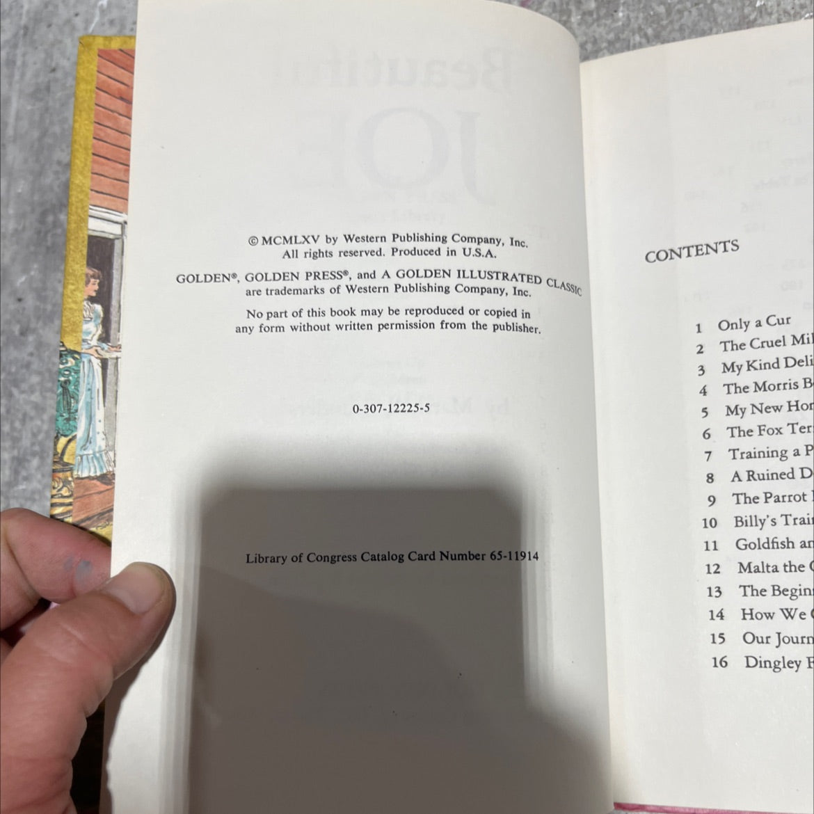 beautiful joe book, by marshall saunders, 1965 Hardcover image 3