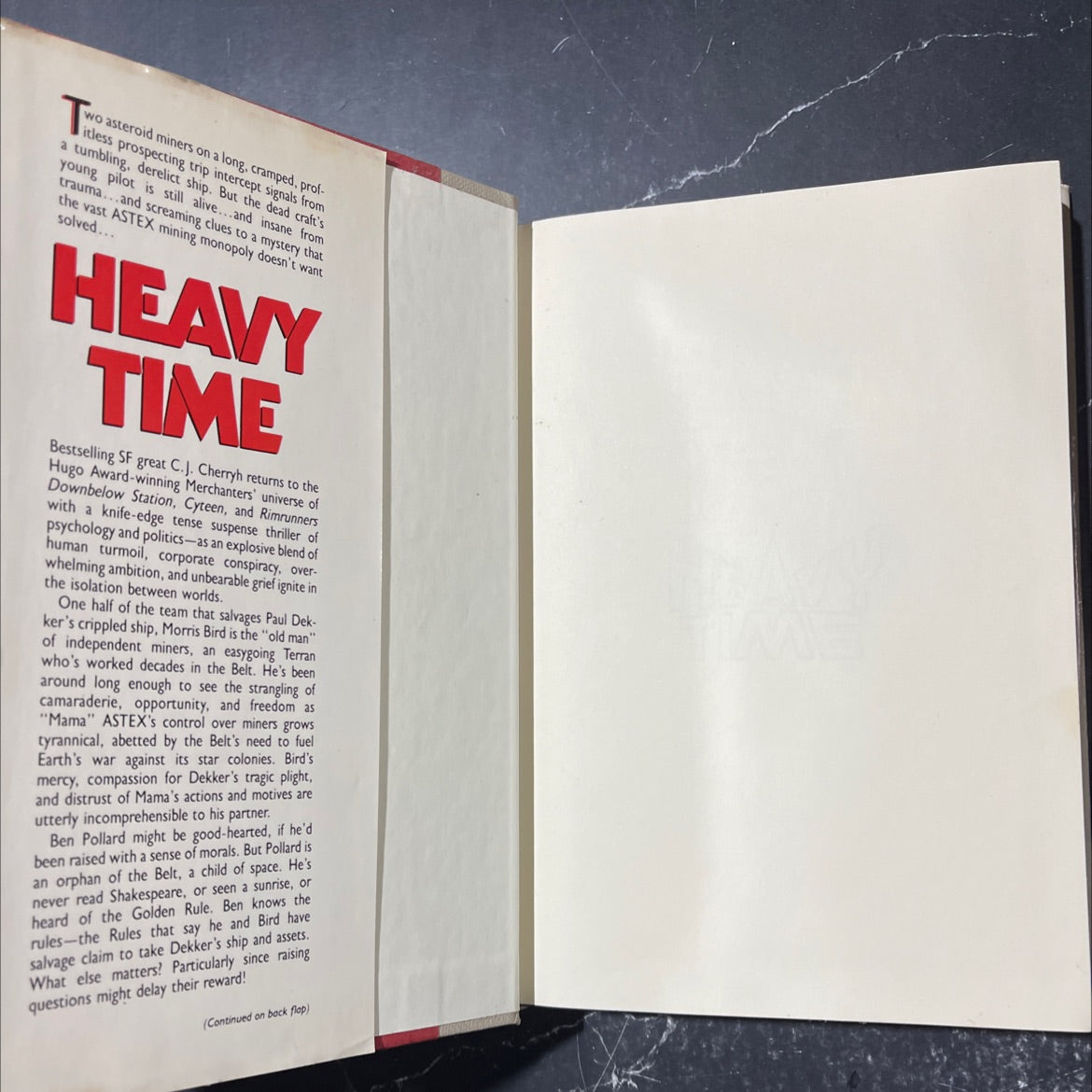 betrayal rebirth vindication book, by C.J. Cherryh, 1991 Hardcover image 4