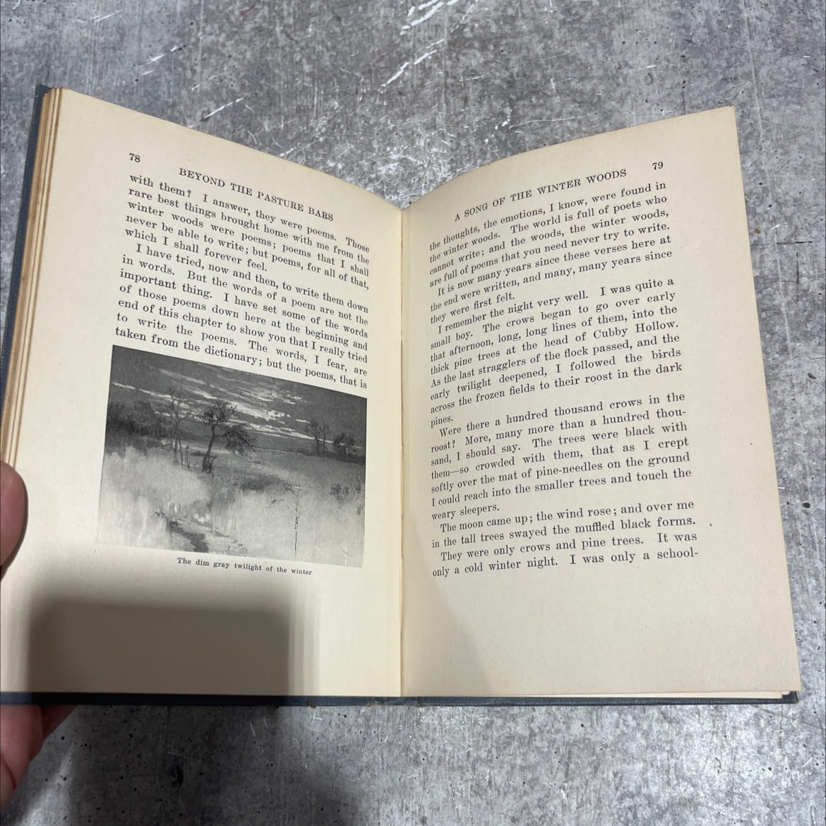 beyond the pasture bars book, by dallas lore sharp, 1914 Hardcover image 4