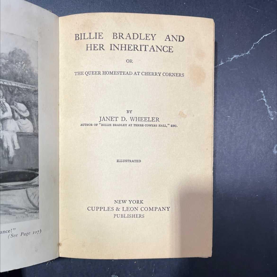 billie bradley and her inheritance or the queer homestead at cherry corners book, by janet d. wheeler, 1920 Hardcover image 2
