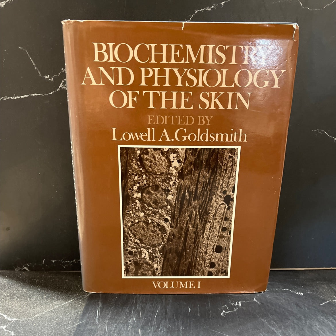 biochemistry and physiology of the skin book, by lowell a. goldsmith, 1983 Hardcover image 1