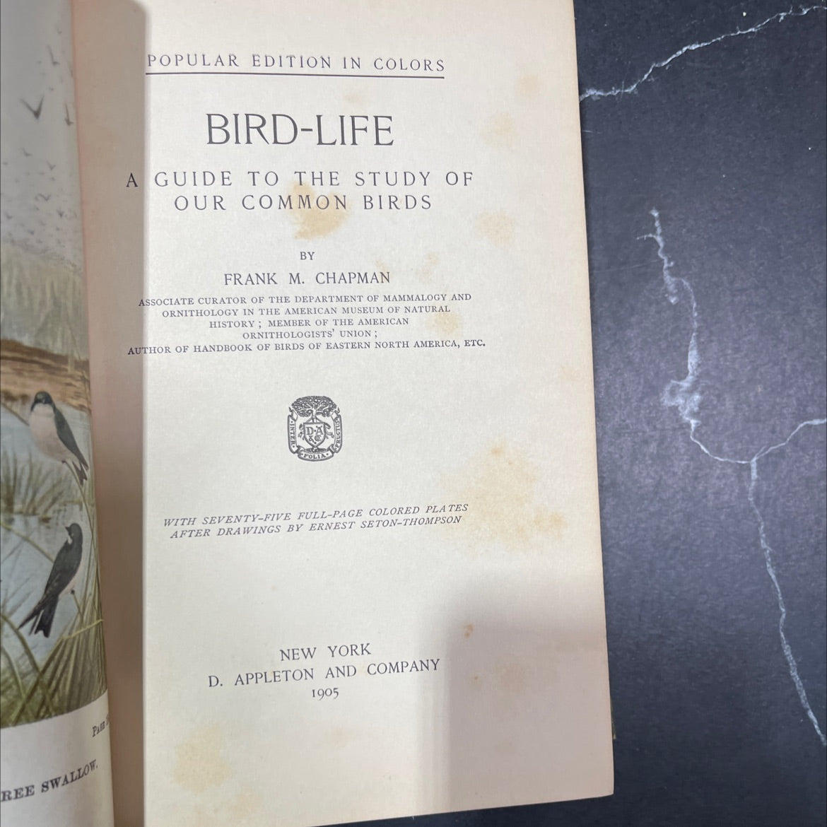 bird-life a guide to the study of our common birds book, by frank m. chapman, 1905 Hardcover image 2