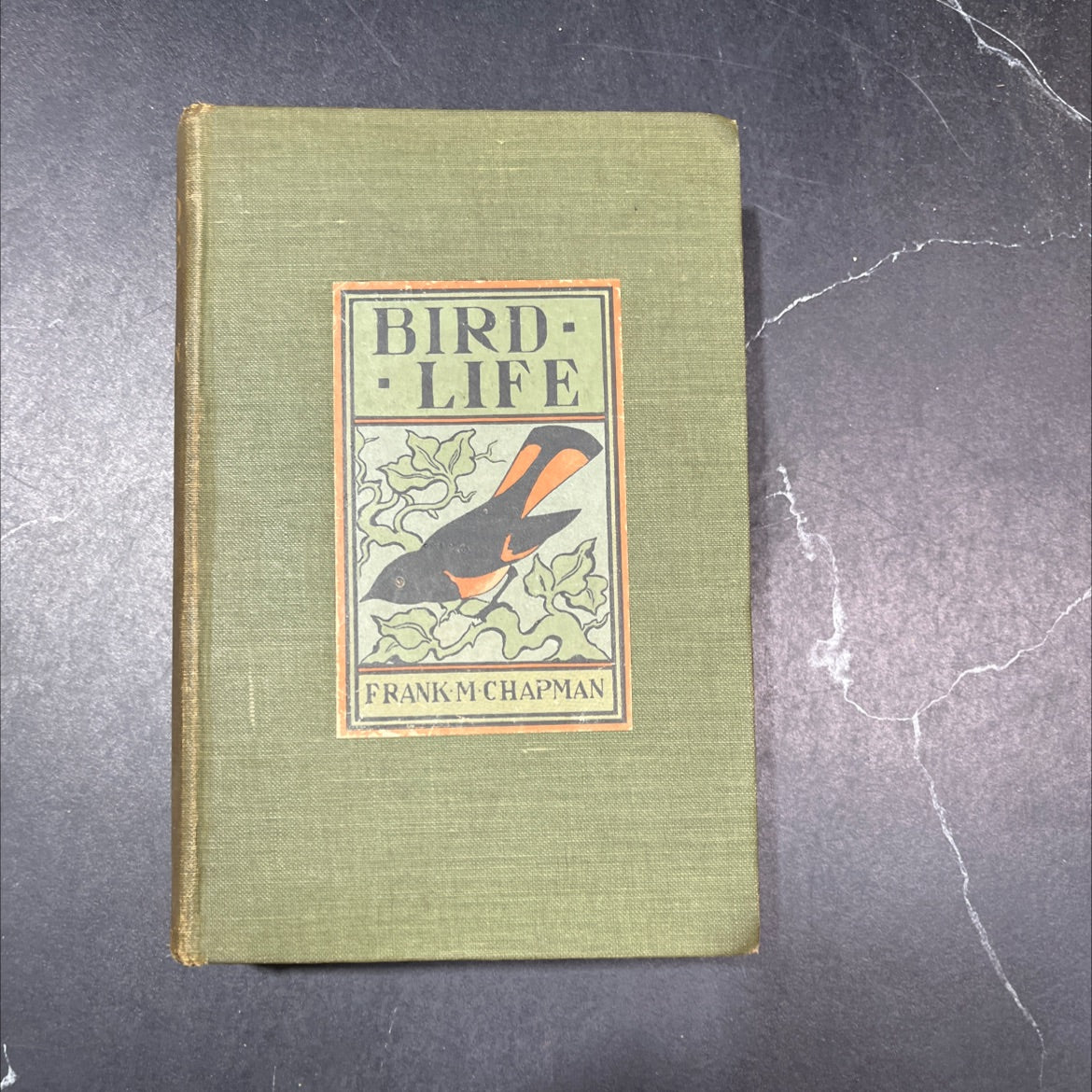 bird-life a guide to the study of our common birds book, by frank m. chapman, 1905 Hardcover image 1