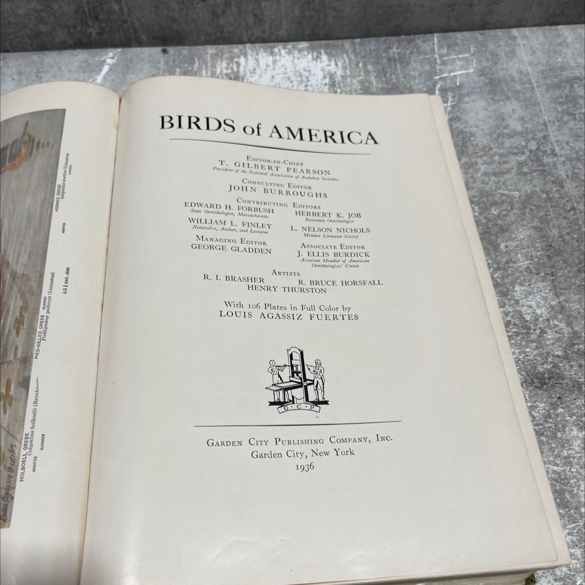 birds of america book, by louis agassiz fuertes, 1936 Hardcover image 2