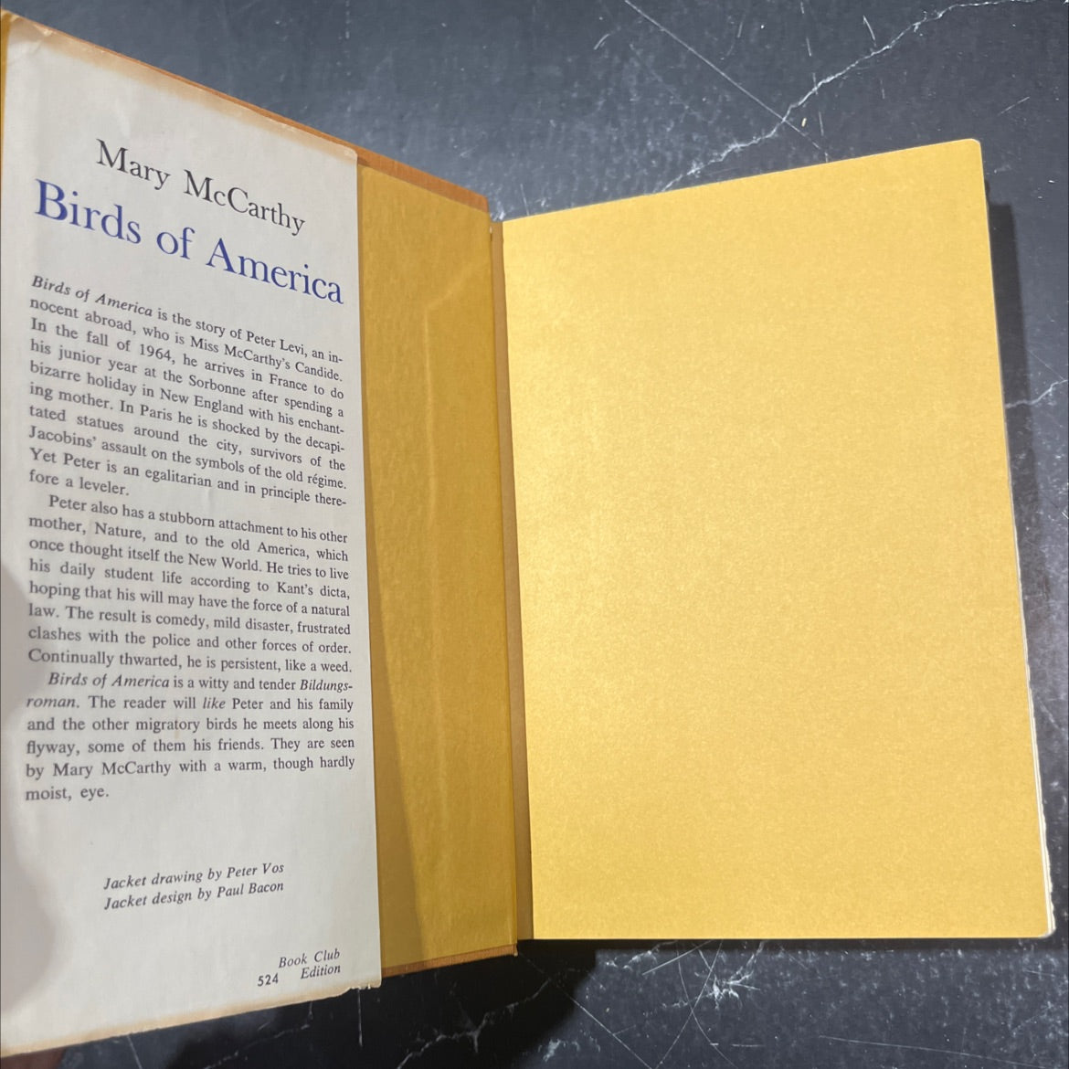 birds of america book, by mary mccarthy, 1971 Hardcover image 4