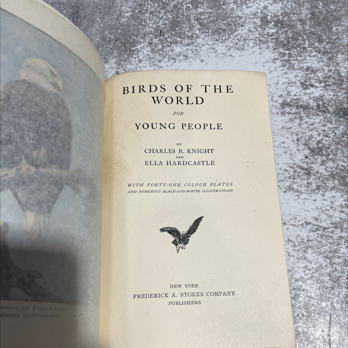 birds of the world for young people book, by charles r. knight and ella hardcastle, 1909 Hardcover image 2