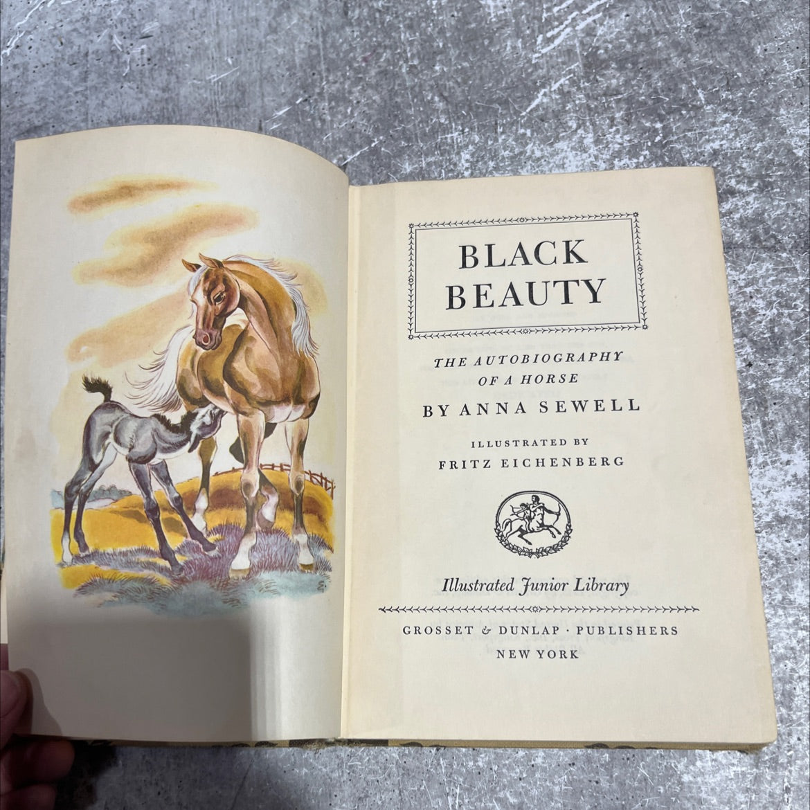 black beauty the autobiography of a horse book, by anna sewell, 1945 Hardcover image 2