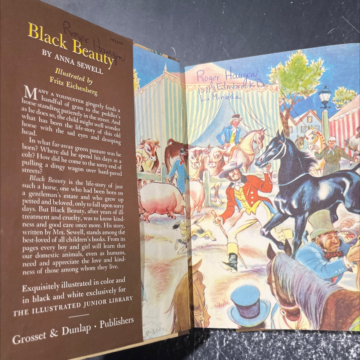 black beauty the autobiography of a horse book, by anna sewell, 1945 Hardcover image 4