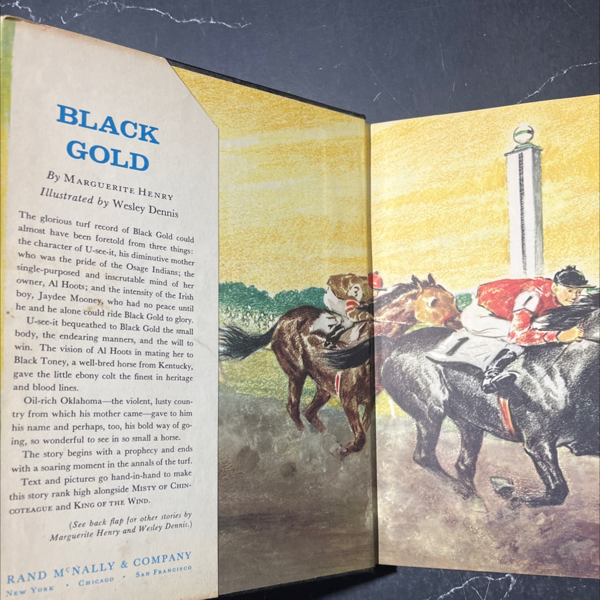 black gold book, by marguerite henry, 1957 Hardcover image 4