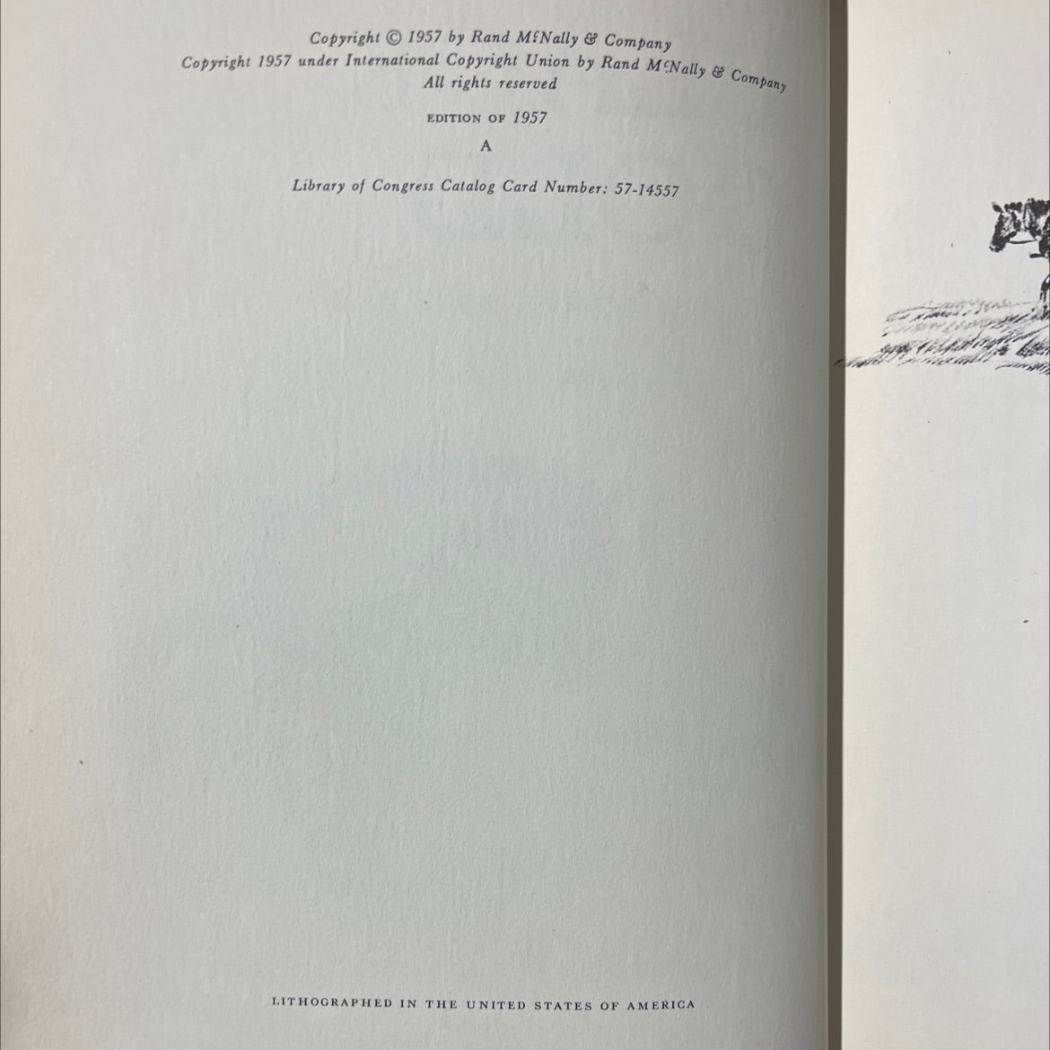 black gold book, by marguerite henry, 1957 Hardcover image 3