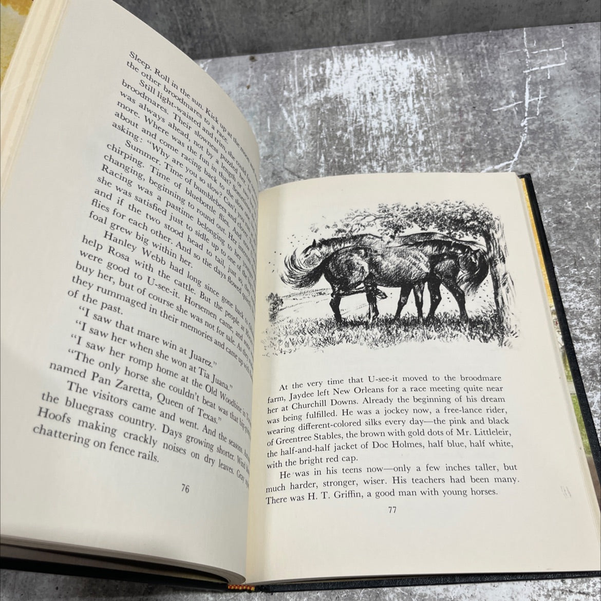 black gold book, by marguerite henry, 1958 Hardcover image 4