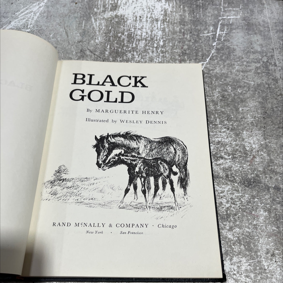 black gold book, by marguerite henry, 1958 Hardcover image 2