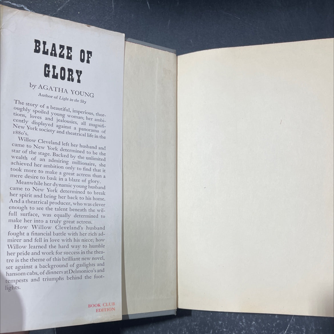 blaze of glory book, by agatha young, 1950 Hardcover image 4
