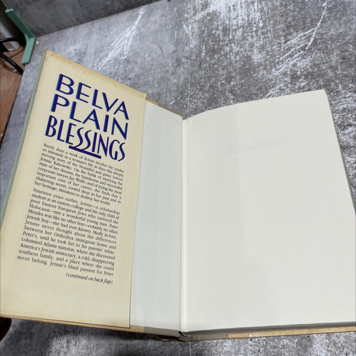 blessings book, by belva plain, 1989 Hardcover image 4