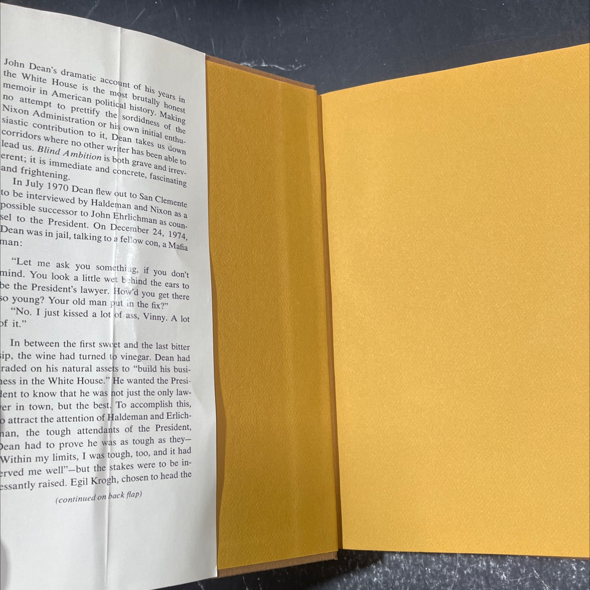 blind ambition book, by john w. dean iii, 1976 Hardcover image 4