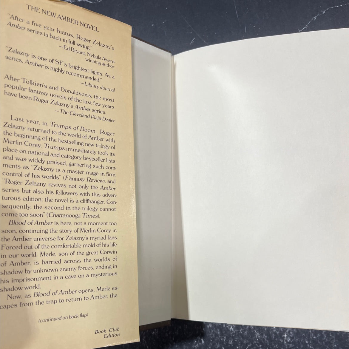 blood of amber book, by roger zelazny, 1986 Hardcover image 4