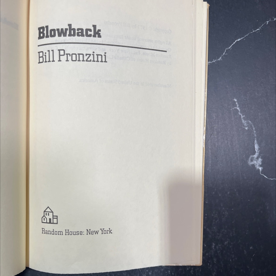 blowback book, by Bill Pronzini, 1977 Hardcover image 2