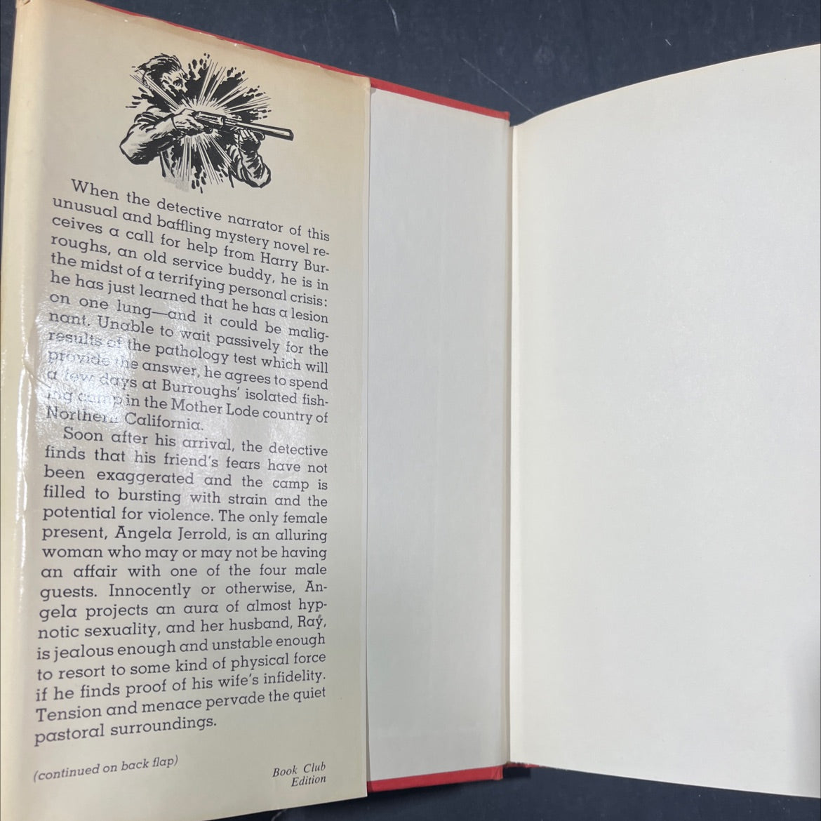 blowback book, by Bill Pronzini, 1977 Hardcover image 4