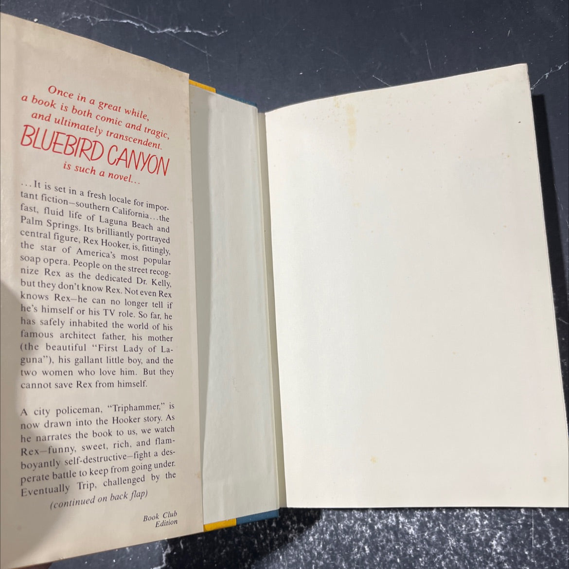 bluebird canyon book, by dan mccall, 1983 Hardcover image 4