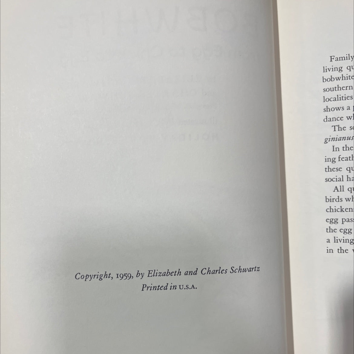 bobwhite from egg to chick to egg book, by elizabeth schwartz and charles schwartz, 1959 Hardcover image 3