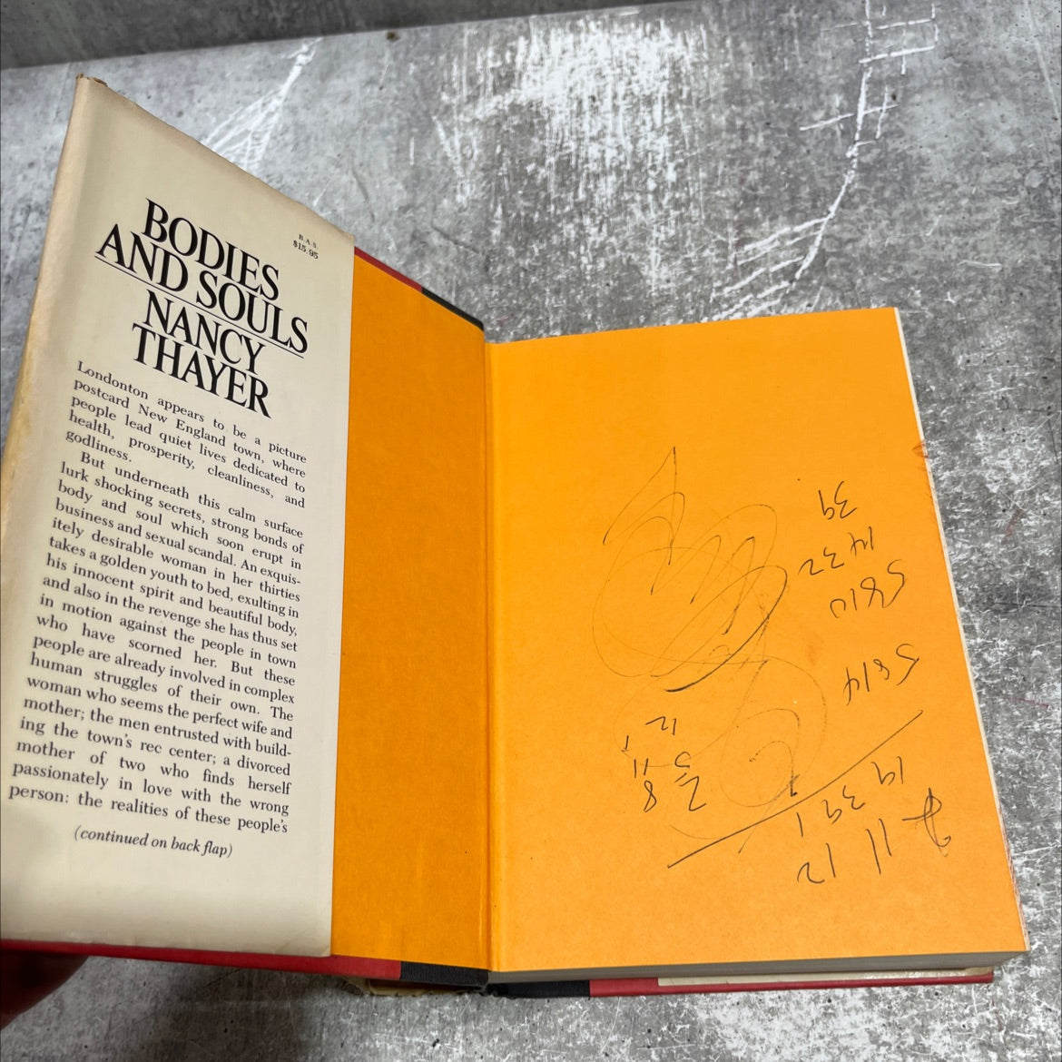 bodies and souls book, by Nancy Thayer, 1983 Hardcover image 4