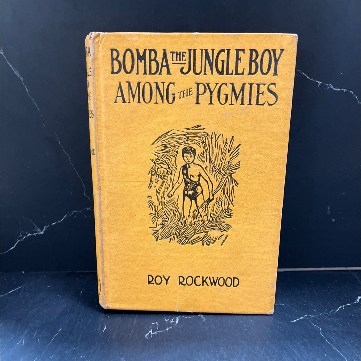 bomba the jungle boy among the pygmies book, by roy rockwood, 1931 Hardcover image 1